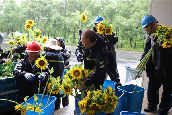 1750320402801129.jpg 3.jpg