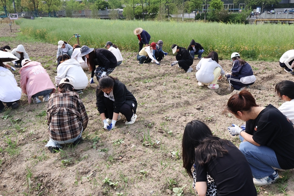 1751528735431819.jpg 3-1.jpg