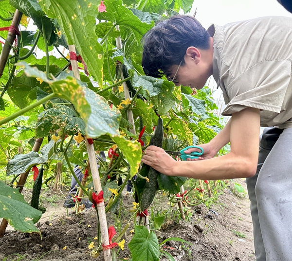 1751528735638742.jpg 3-2.jpg