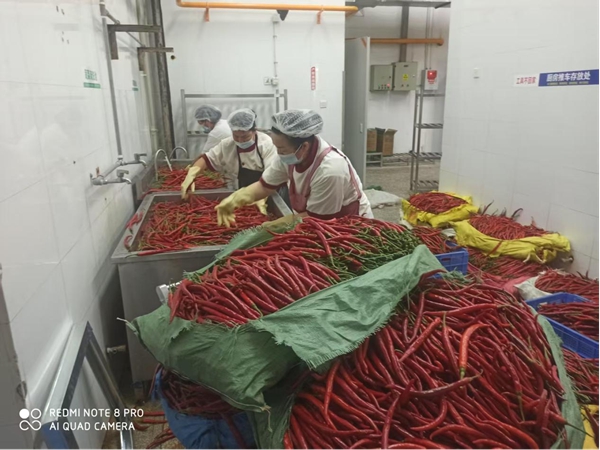 1756715686179678.jpg 泡制泡海椒1.jpg