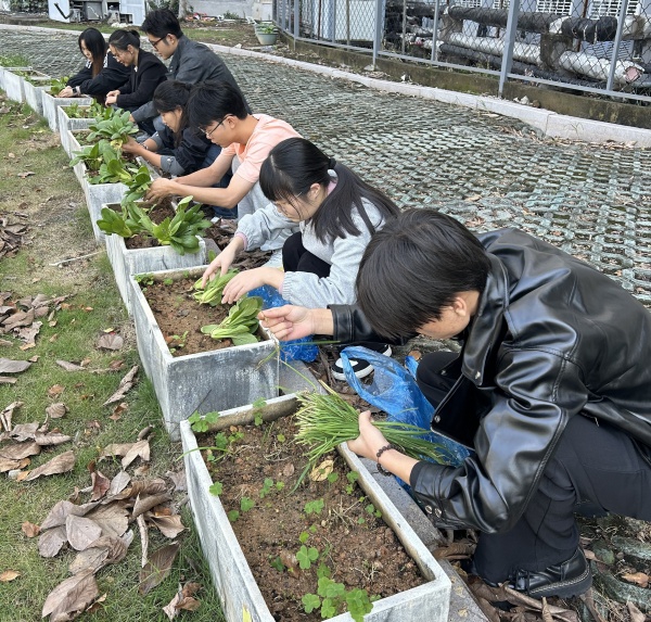 1763607020428873.jpg 1763607020428873.jpg