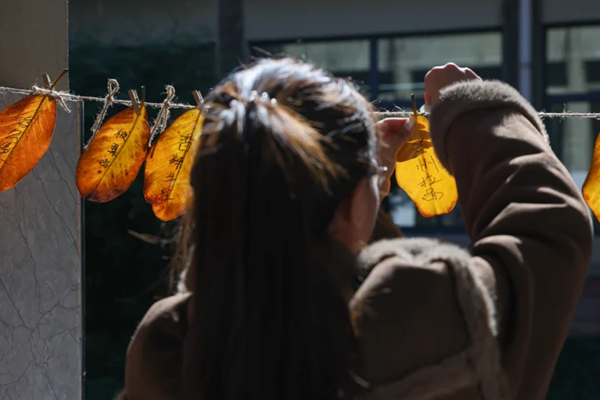 1765441653351639.png 4.png