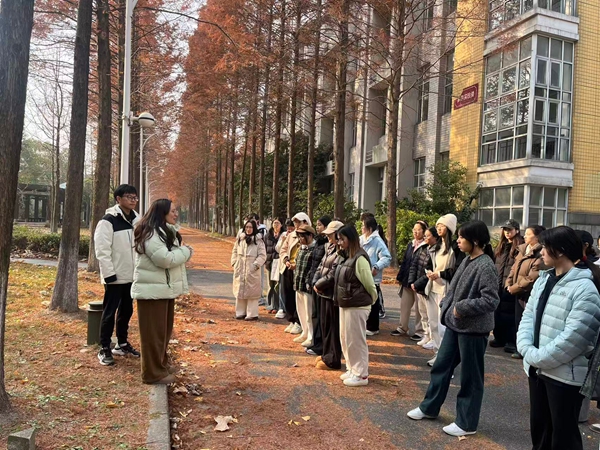 1766471237832943.jpg 1.jpg