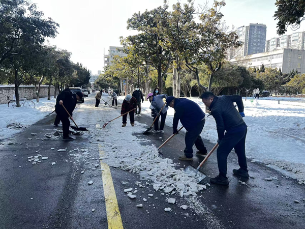 1772767843916063.png 图片 13.png