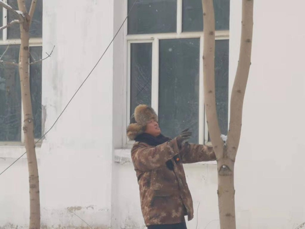 1650528319642066.jpg image009.jpg