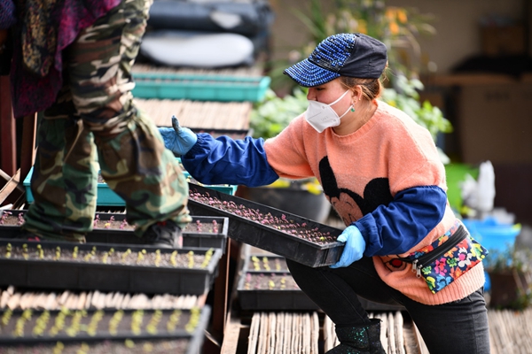 1650528392784326.jpg image021.jpg