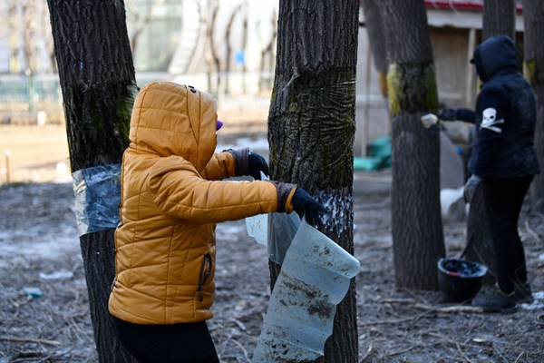 1650528716248178.jpg image015.jpg