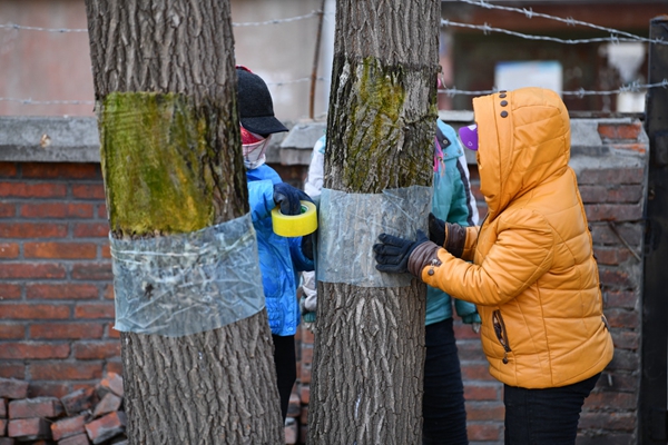 1650528716370343.jpg image017.jpg