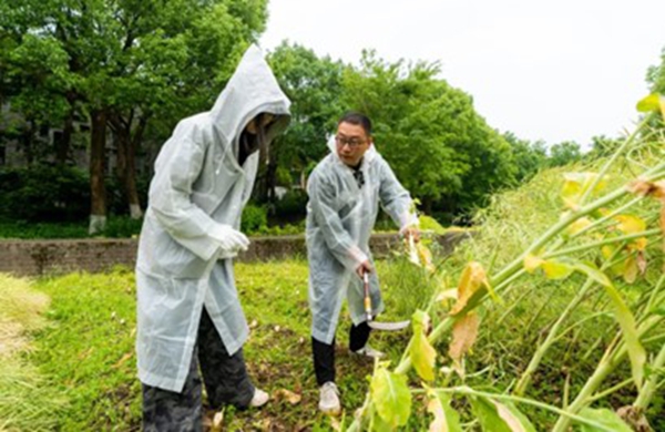 1748326975140721.jpg 5.jpg