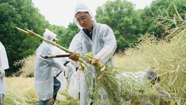 1748326983728638.jpg 6.jpg