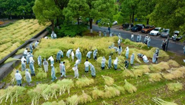 1748327035707635.jpg 12.jpg