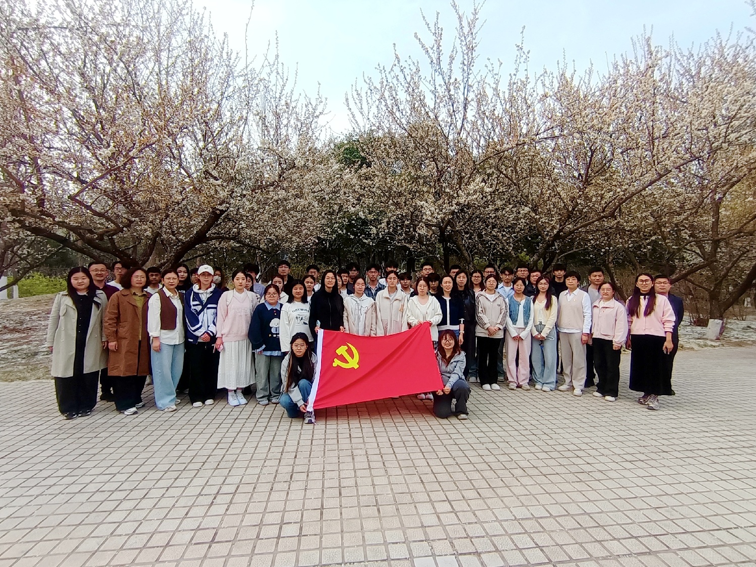 1774833552395510.jpg 01.jpg