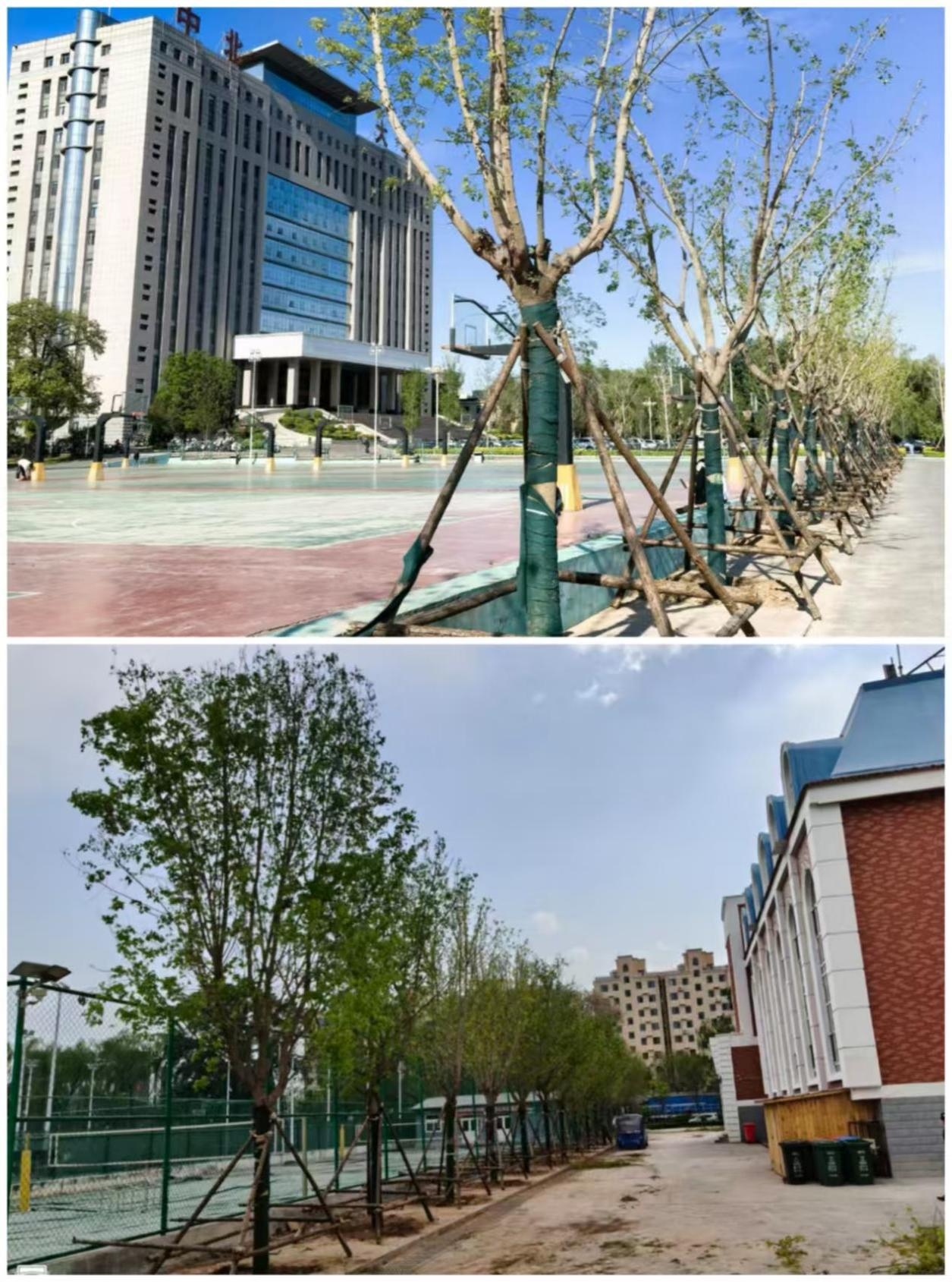 图片 4.jpg