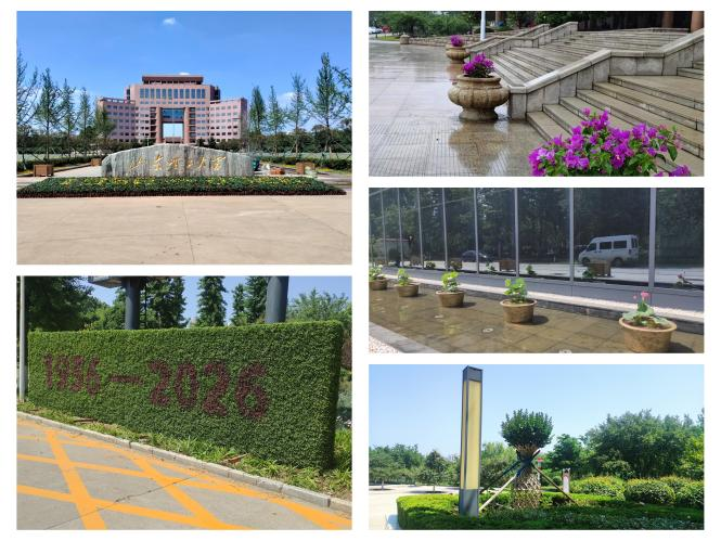 1779933289594407.png 图片 1.png