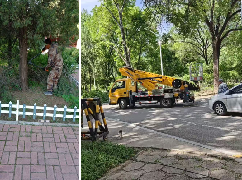 图片 3.png