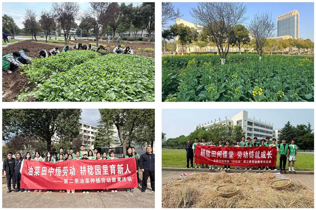 1783648197905555.jpg 节气:耕种.jpg